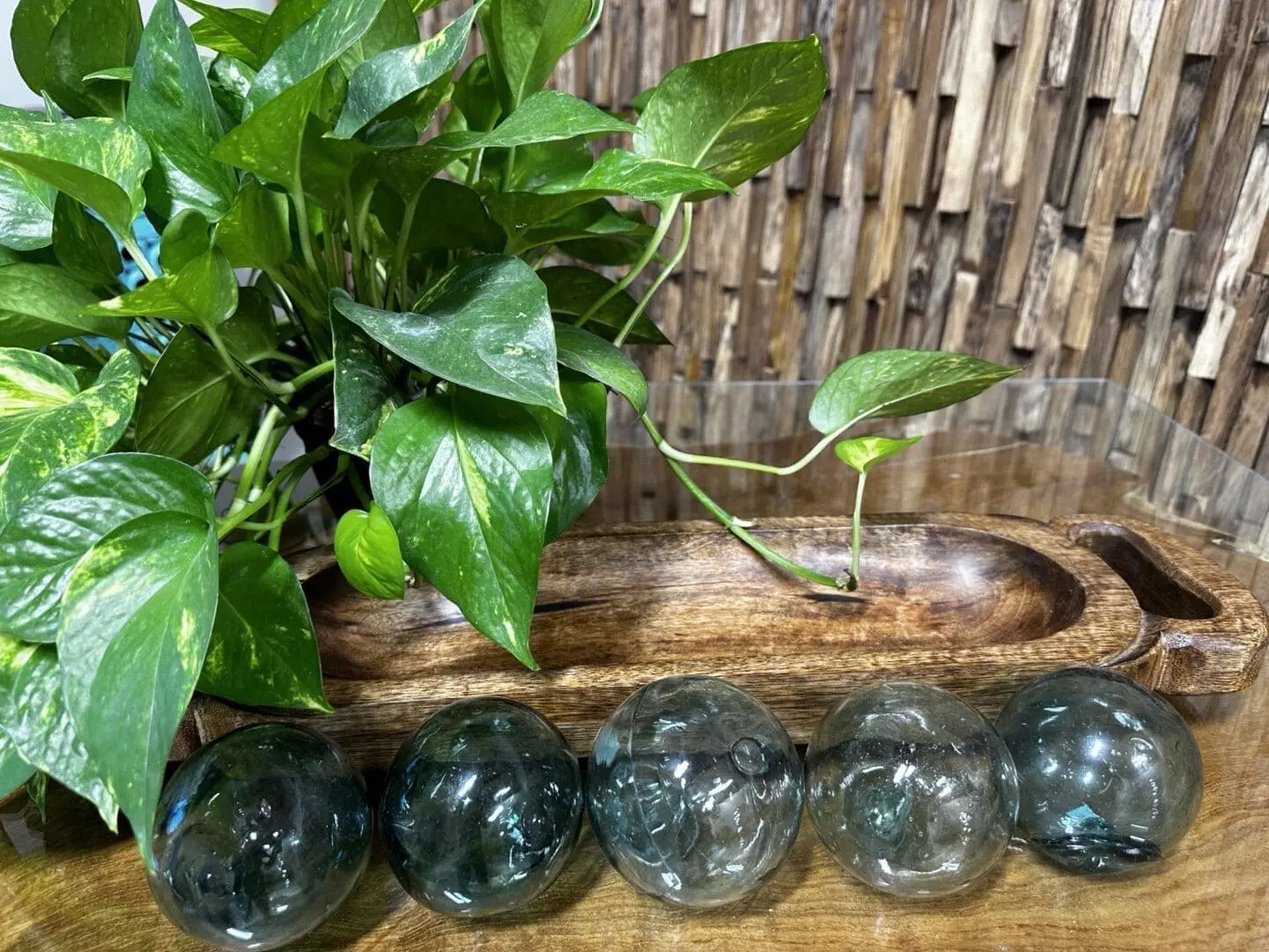 A wooden bowl with glass balls and a plant.